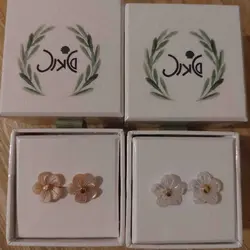 گل گوش صدفی