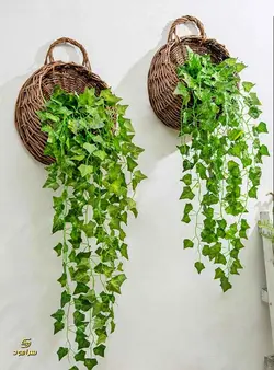 گرین وال آویز انگور-کد 003 | سرامود