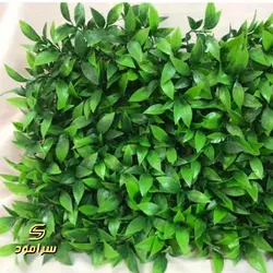 گرین وال پنلی برگ پرتغالی زرد- کد 010 | سرامود