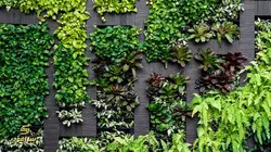 گرین وال پنلی شبدری دو رنگ- کد 06 | سرامود