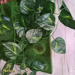 گرین وال آویز پتوس- کد 002 | سرامود