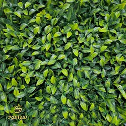 گرین وال پنلی برگ ریحان کد 04 | سرامود