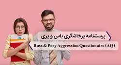 پرسشنامه پرخاشگری باس و پری - 1ارگونومیست