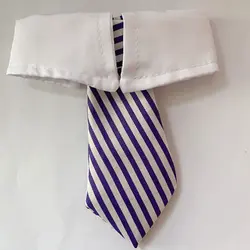 کراوات حیوانات خانگی