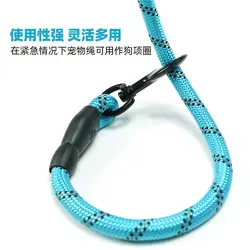 لید قلاده سگ بافتی 130 سانتی متری