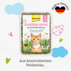 بذر علف گربه رایحه علفزار جیم کت_GimCat katzen Gras