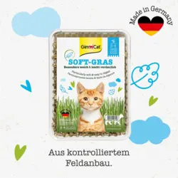 بذر علف گربه زود هضم جیم کت_GimCat soft Gras