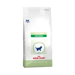 غذای بچه گربه فاز دوم رشد رویال کنین – Royal Canin Pediatric Weaning