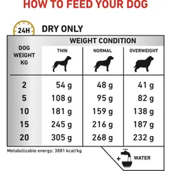 غذای خشک درمانی سگ یورینری رویال کنین – Royal Canin Urinary S/O Dog