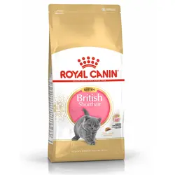 غذای گربه کیتن بریتیش رویال کنین – Royal Canin British Shorthair Kitten