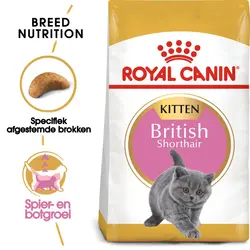 غذای گربه کیتن بریتیش رویال کنین – Royal Canin British Shorthair Kitten