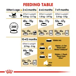 غذای گربه کیتن بریتیش رویال کنین – Royal Canin British Shorthair Kitten