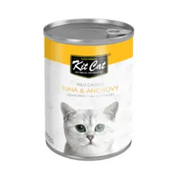 کنسرو 400گرمی کیت کت با طعم تن و ماهی کولی_kitcat with tuna&amp;Anchovy Canned 400g