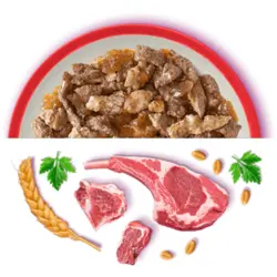 پوچ گربه ویسکاس با طعم بیف و خرگوش در ژله_Whiskas cat wet food, jelly with beef and rabbit