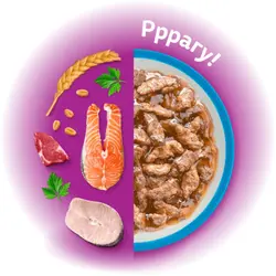 پوچ کیتن ویسکاس با طعم مرغ در سس_Whiskas kitten wet food, chicken stew