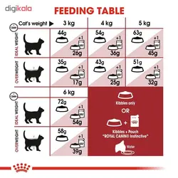 غذای گربه بالغ رگولار فیت رویال کنین 15کیلویی–Royal Canin Regular Fit 15kg