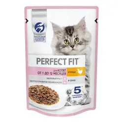 پوچ بچه گربه پرفکت فیت با مرغ در سس_Perfect fit kitten with chicken in sauce