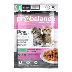پوچ کیتن پروبالانس با خرگوش در ژله_probalance kitten with rabbit in jelly