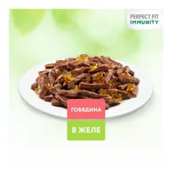 پوچ سیستم ایمنی پرفکت فیت با طعم بیف در ژله_Perfect fit immunity with beef in jelly