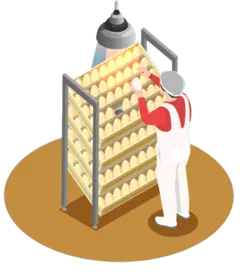 دستگاه جوجه کشی 10000 تایی