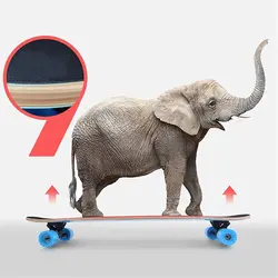 لانگ برد مدل پینکی Pinkey Long Board - تنگستان کیش | فروش دوچرخه،اسکیت،اسکوتر