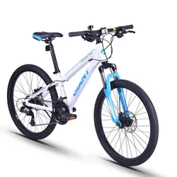 دوچرخه سایز 24 جاینت Giant OYEA - تنگستان کیش | فروش دوچرخه،اسکیت،اسکوتر
