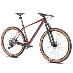 دوچرخه 29 کربن آلواس ALVAS Carbon frame 29er - تنگستان کیش | فروش دوچرخه،اسکیت،اسکوتر