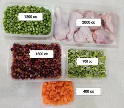 ظروف فریزری