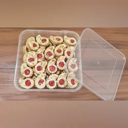 ظروف فریزری