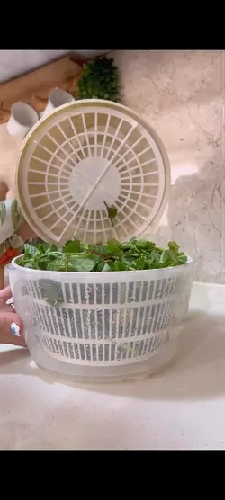 سبزی خشک کن