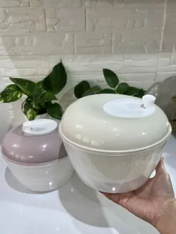 سبزی خشک کن