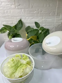 سبزی خشک کن