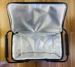 ساک پیکنیک عایق دار WS