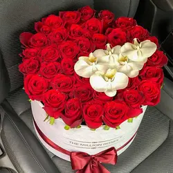 باکس گل مدل 1504 - خرید جعبه گل مدل 1504 | گلفروشی هما