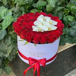 باکس گل مدل 1504 - خرید جعبه گل مدل 1504 | گلفروشی هما