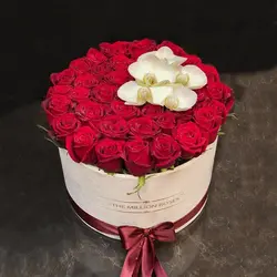 باکس گل مدل 1504 - خرید جعبه گل مدل 1504 | گلفروشی هما