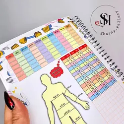 پلنر ورزشی - شاینی گالری