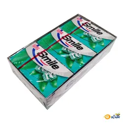 آدامس استیک اسمایل با طعم اکالیپتوس ۱۸ بسته ۷ عددی - فروشگاه اینترنتی بافینه | حس خوب یک خرید اینترنتی راحت