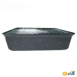 قیمت و خرید  کباب پز روگازی صبا مدل رعنا