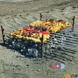 قیمت و خرید منقل سفری میله ای مدل M۴۵۰