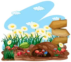 وکتور آماده صحنه باغ حشرات و گیاهان