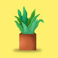 وکتور آلوئه ورا