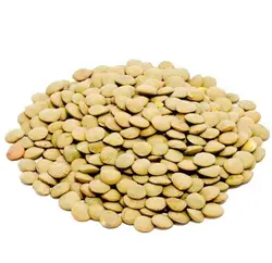 عدس درشت دانه درجه یک