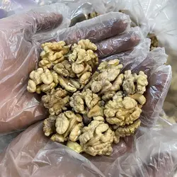 مغز گردو سفید معمولی - بسته بندی یک کیلوگرمی