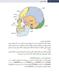 خرید کتاب اسکالپ تراپی | طب سوزنی سر+ اطلس رنگی | اشراقیه