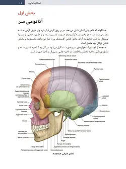 خرید کتاب اسکالپ تراپی | طب سوزنی سر+ اطلس رنگی | اشراقیه