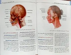 خرید کتاب کتاب راهنمای کاربردی آناتومی بالینی صورت در تزریق فیلر و سم بوتولینوم | نشر اشراقیه