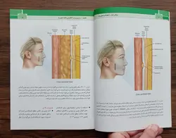 خرید کتاب نواحی خطر صورت در پروسیجر های زیبایی | دکتر رمزی | نشر اشراقیه