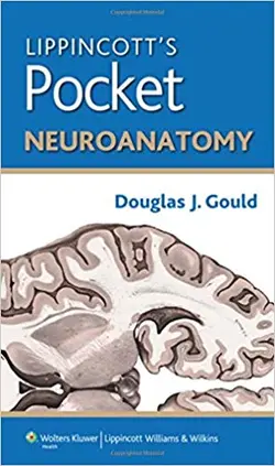 Lippincott's Pocket Neuroanatomy | لیپینکات هندبوک نوروآناتومی / کتاب پزشکی