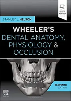 خرید کتاب Wheeler's Dental Anatomy, Physiology and Occlusion - 2020 | آناتومی دندان ویلر | نشر اشراقیه